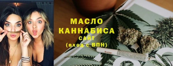 мяу мяу мука Гусь-Хрустальный